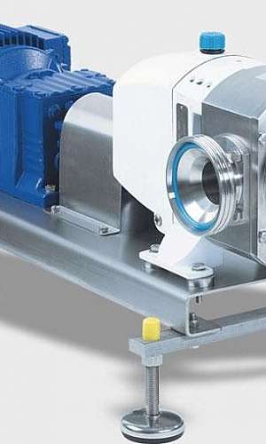 Manutenção de bombas rotativas Manutenção de bombas rotativas